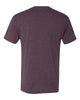 Next Level® 6010 Triblend Short Sleeve Crew Shirt - Blank T-Shirts