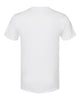 Next Level 6010 Triblend T-Shirt - White