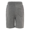 Independent Trading Co PRM11SRT Toddler Lightweight Special Blend Fleece Shorts