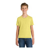 Port & Company PC450Y Youth Fan Favorite Tee