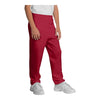 Port & Company PC90YP Youth Core Fleece Sweatpant