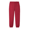 Port & Company PC90YP Youth Core Fleece Sweatpant