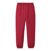 Port & Company PC90YP Youth Core Fleece Sweatpant