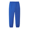 Port & Company PC90YP Youth Core Fleece Sweatpant