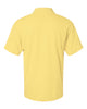 Paragon 100 Saratgoa Performance Mini Mesh Polo Shirt