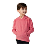 Independent Trading Co PRM10TSB Toddler Special Blend Hooded Raglan Sweatshirt
