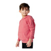 Independent Trading Co PRM10TSB Toddler Special Blend Hooded Raglan Sweatshirt