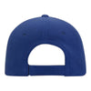 OTTO 18-429 OTTO CAP 6 Panel Low Profile Baseball Cap