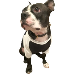 Royal Apparel 17900 50/50 Blend Dog Baseball Tee Made in USA - 