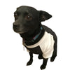 Royal Apparel 17900 50/50 Blend Dog Baseball Tee Made in USA