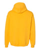 Russell Athletic 695HBM Dri Power® Hooded Sweatshirt