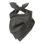 Port Authority C965 Large Bandana