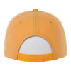 Elevate TM32020 Unisex DOMINATE Ballcap