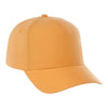 Elevate TM32020 Unisex DOMINATE Ballcap