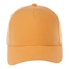 Elevate TM32020 Unisex DOMINATE Ballcap