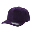 Unbranded 5 Panel Suede Hat