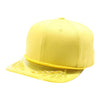 PitBull TRN11 6 Panel Transparent Bay Leaf Snapback Cap