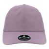 Zapped Headwear Captain Dad Hat