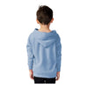 Independent Trading Co PRM10TSB Toddler Special Blend Hooded Raglan Sweatshirt