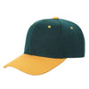 Unbranded 2 Tone Baseball Cap, Blank Structured Hat