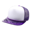 PitBull TRN10 5 Panel Transparent Bay Leaf Sponge Trucker Cap