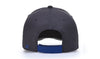 Richardson 178 - DRYVE/Carbon Fiber, Performance Cap