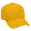 OTTO CAP 6 Panel Low Profile Baseball Cap - 19-768
