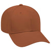 OTTO CAP 6 Panel Low Profile Baseball Cap - 19-768