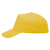 Otto 31-1060 - 5 Panel Mid Profile Baseball Cap, Value Hat - 31-1060
