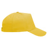 Otto 31-1060 - 5 Panel Mid Profile Baseball Cap, Value Hat - 31-1060