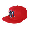 USA America Snapback Flat Bill Hat - S019