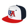 USA America Snapback Flat Bill Hat - S019