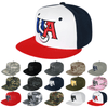 USA America Snapback Flat Bill Hat - S019